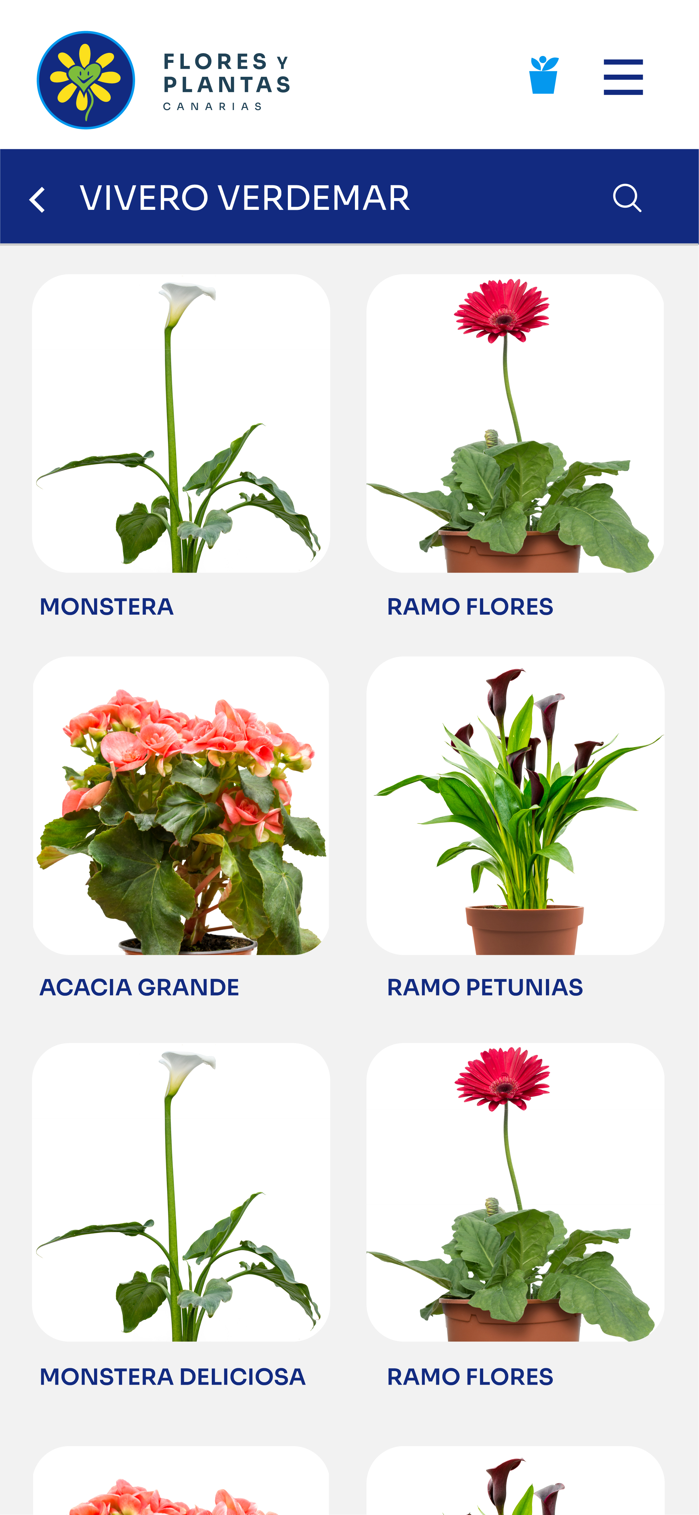 Catálogo de flores y plantas de un punto de venta